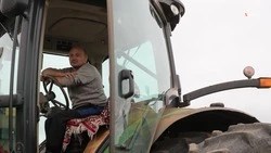 На Ставрополье в 2022 году высеяли 865 гектаров чечевицы