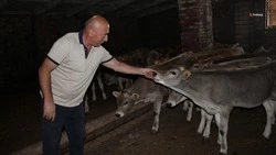 Фермер из Степновского округа развивает хозяйство благодаря господдержке