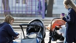 Поддержку беременным жёнам мобилизованных обеспечат власти Ставрополья