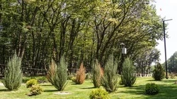В четырёх муниципалитетах Ставрополья благоустроят общественные территории 