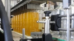 Ставрополье экспортировало за рубеж 46,2 тыс. тонн масложировой продукции 