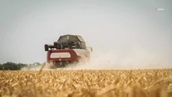 Ставрополье расширит поставки местной продукции на российский рынок