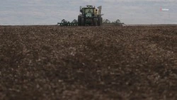 Сев бахчевых культур продолжается в Степновском округе