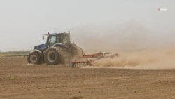 В Степновском округе приступили к закладке раннего картофеля