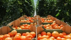 Ставропольские производители представили свою продукцию на международной выставке