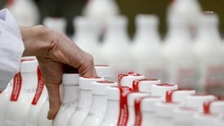 На Ставрополье обязательная маркировка молочной продукции откладывается до 2023 года
