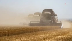 Аграрии Степновского округа приступили к жатве