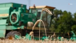 В Степновском округе полностью завершилась уборочная кампания