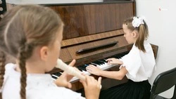 Новые музыкальные инструменты получит школа искусств Степновского округа