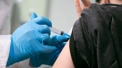 Минздрав Ставрополья: Бороться с аллергией помогает специфическая иммунотерапия