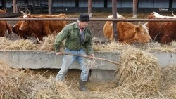Ставропольским аграриям одобрили краткосрочные кредиты на 12,5 миллиарда рублей