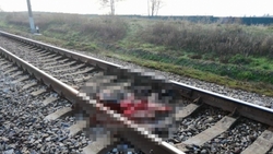 Мужчину сбил поезд на перегоне Суворовская – Минеральные Воды