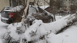 В Ставрополе устраняют последствия разбушевавшейся стихии