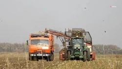 На Ставрополье во время жатвы строго соблюдают противопожарные меры 